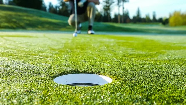 Golfer on the putting green sinking a putt