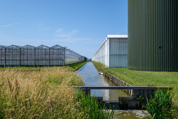 Commercial glass greenhouse with huge oil tank for the heating, in Westland, the Netherlands