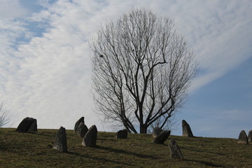 Kirkut w Łomży © pniejnia