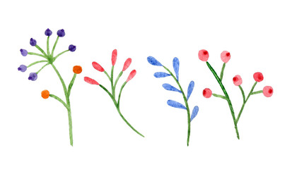 Set of watercolor flowers and branches on a white background
