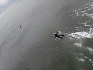 fare surf