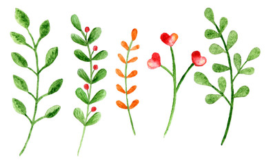 Set of watercolor flowers and branches on a white background