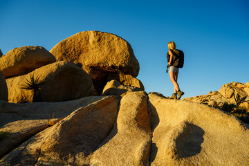 Hiker woman climbing the rocks in a beautiful warm sunset light in the Joshua Tree National Park,...