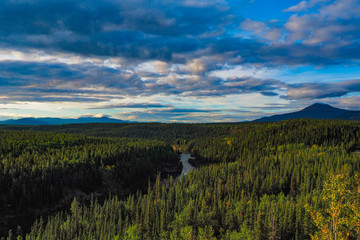 Fototapeta na wymiar Klondike forests