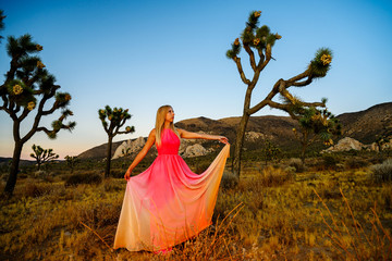 Fototapeta na wymiar Elegant woman, wearing a fancy dress and standing like a fairy among the Joshua Trees at sunset