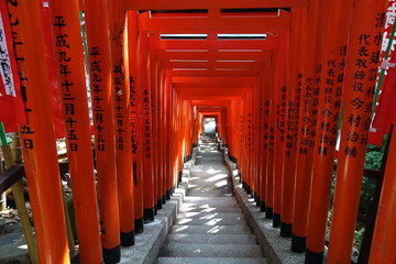 Weg mit roten Torii-Bögen Tor Bögen in Tokyo Japan