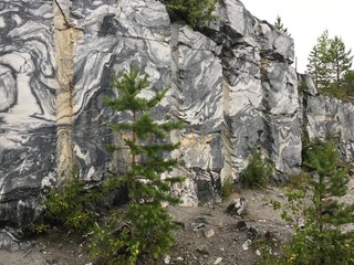 marble rock and trees