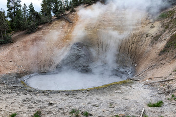 Mud Volcano on Hayden Valley Geyser Basin in the Yellowstone