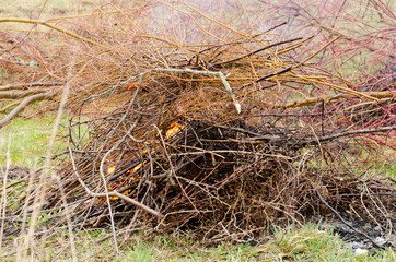 Spring bonfire with pile of branches