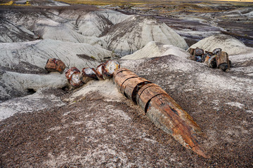 Petrified Forest National Park, Arizona, USA