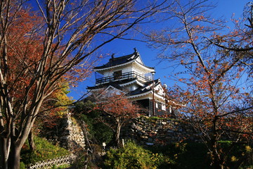 日本の秋　紅葉と浜松城