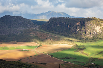Fototapeta premium Rural Landscape Ronda Valley Spain