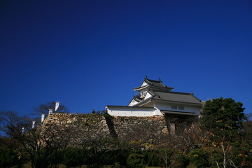 日本の秋　浜松城　天守閣