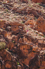 Shepheredesse and goats in high mountain of the Aït Bouguemez valley in Morocco