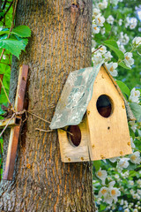 Yellow wooden birdhouse on tree. Nesting box for wild birds. House for birds