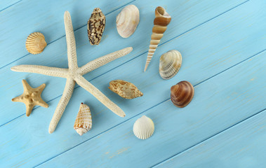 Starfish and sea shells on azure wooden background