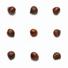 Variations of Chestnuts, single, isolated on white background