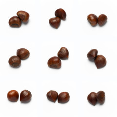 Variations of Chestnuts, double, isolated on white background