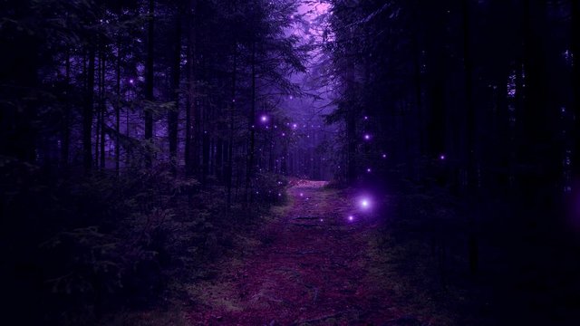 Magic dark pink colored foggy forest fairytale road with firelies fly movement.