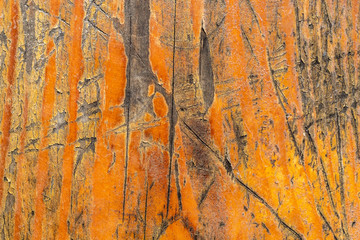 Old Weathered Cracked Wood Texture