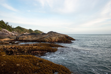 Fototapeta na wymiar the coast of the atlantic ocean