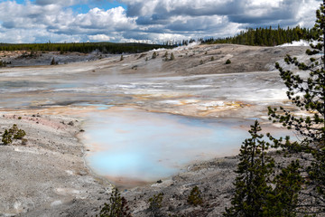 Norris Geyser Basin in the Yellowstone