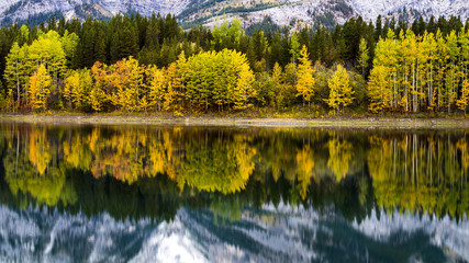 Fototapeta na wymiar Wedge Pond, Kananaskis Country. the still waters reflect the mountains and trees. 
