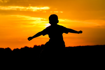happy dad with a child in the park outdoors silhouette