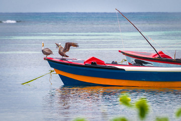 Two pelican birds perched on front end of empty colorful fishing boat docked at sea harbor off the...