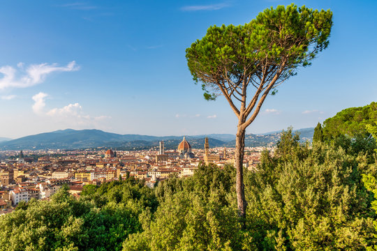 Florence, Italy. panoramic view of Firenze, Florence from Piazzale Michelangelo. Cityscape with Duomo, Cathedral, mountains and Arno river. Foreground with prominent tree.