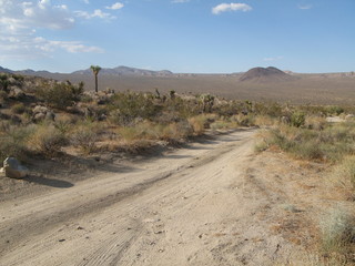 Geology Tour Roud Pleasant Valley Joshua Tree National Park USA California