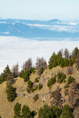parque nacional nevado de colima