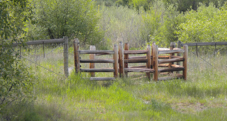 Fence in a field