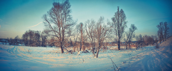 Beautiful winter landscape of fields and trees. New Year's, Christmas stock photo. Snow-covered Siberian species