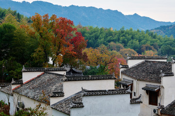 Fototapeta premium Hui-style architectures in fall forest on the hillside of China.