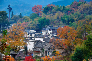 Hui-style architectures in fall forest on the hillside of China.