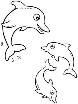 Dolphins Playing Illustration