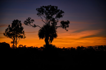 Naklejka na ściany i meble Sunrise at Babcock Wildlife Management Area near Punta Gorda, Florida
