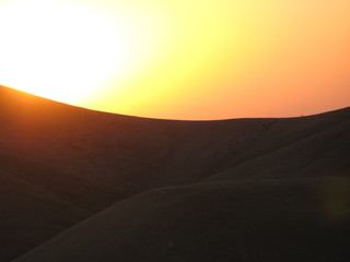 Fototapeta na wymiar Rinder Herde läuft über den Bergrücken genau durch die untergehende Sonne in Kalifornien USA 