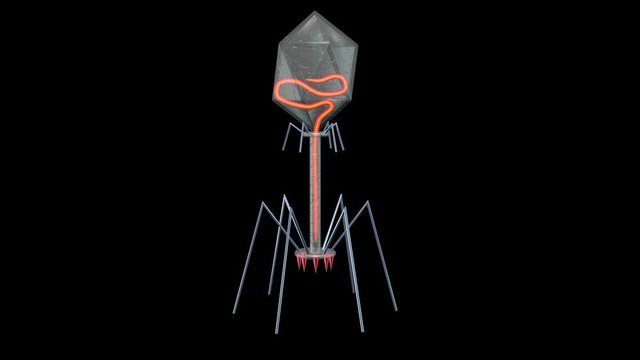Bacteriophage infecting process. Ejects DNA strand. 3d rendering. Isolated on black background . Black and white alpha matte included