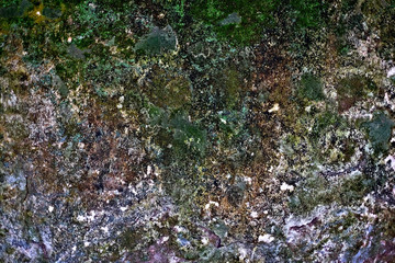 A rock wall large surface covered with various lichens.