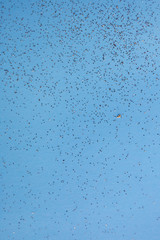 color paper background with tiny sparkles