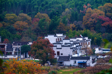 Fototapeta na wymiar Hui-style architectures in fall forest on the hillside of China.