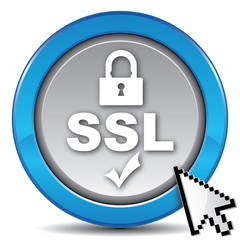 ssl icon