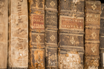 Antique books on the shelves of the Joanina library of Coimbra University in Portugal