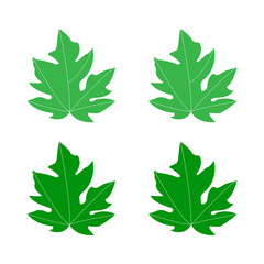 Leaf icon. Design template vector