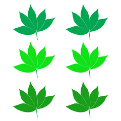 Leaf icon. Design template vector