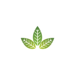 Tree leaf vector logo design, eco-friendly concept