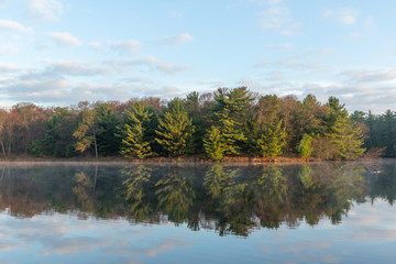 An evergreen forest reflected in a lake at dawn