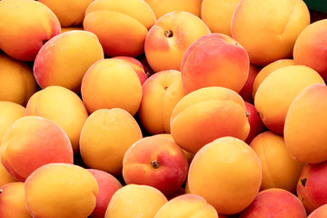 heap of fresh  and juicy apricots